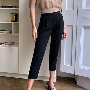 Aritzia Babaton Cohen Pants sz. 4
